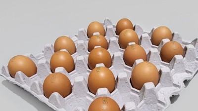 드림랜드 계란: 솔직 후기와 꿀팁 대방출!🥚✨